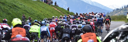 Stage 2 Gallery 2019