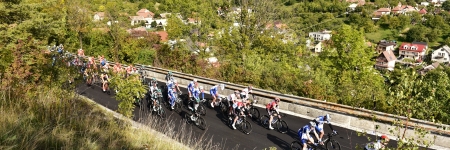 Stage 3 Gallery 2019