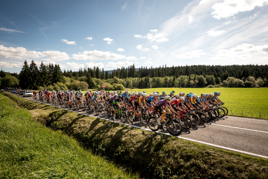 70th Edition Highlights